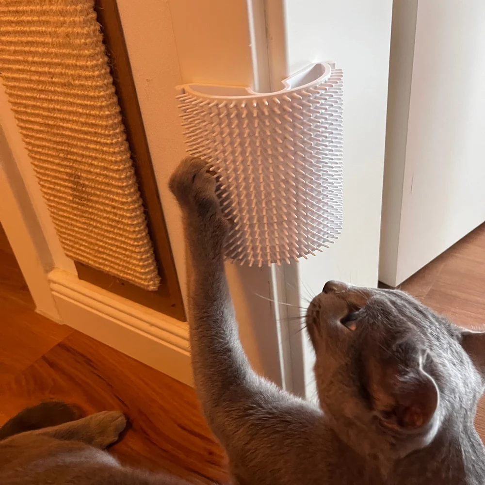 Kedi Köşe Tırmalama ve Masaj Fırçası
